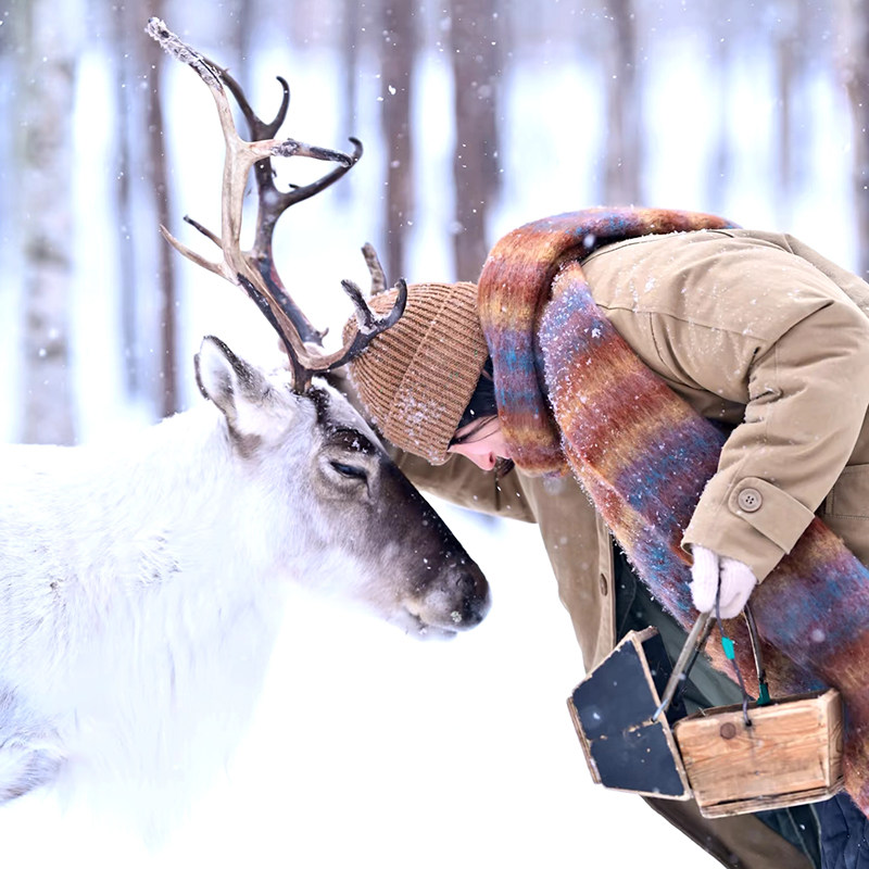 8人纯玩小团 含机票 哈尔滨亚布力雪乡温泉滑雪冬捕5天4晚跟团游