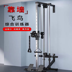 Wall-Mounted Bird Pulldown Trainer, Multifunctional Strength Training Rack, Professional Gantry Rack, Home-Use Unilateral Bird Pulldown