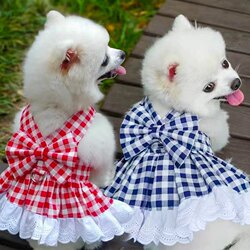 Dog Clothes Spring and Summer Style, Cat Clothes Summer Pet Plaid Outdoor Leashable Items, Skirt Clothes for Teddy