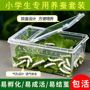 
Silkworm breeding box student silkworm breeding set third grade second volume full set of tools silkworm eggs and cicada baby larvae house