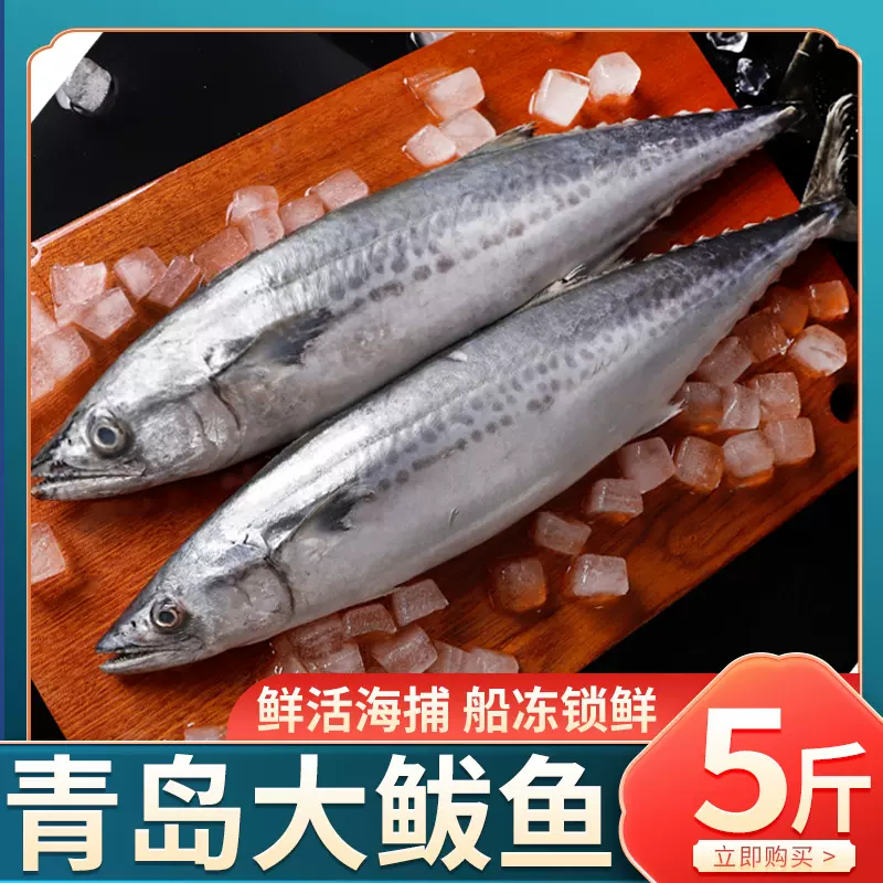 青岛大鲅鱼新鲜活鲐鲅鱼海捕马鲛鱼整条冷冻青花鱼马友鱼海鲜批发 Taobao