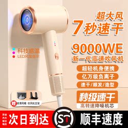 Official Genuine Hair Dryer with Strong Wind Power, Gentle on Hair, Silent, High-Power, for Home Use, with Blue Light and Negative Ions