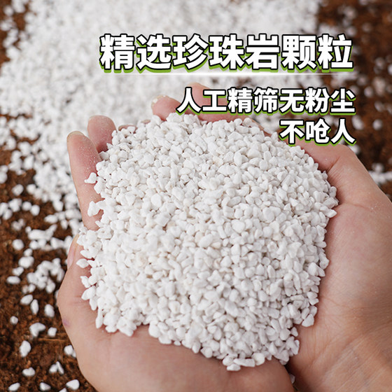 
Selected perlite particles, artificially finely screened, dust-free, non-choking, succulent plant nutrient soil medium, universal seedling cultivation