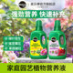 Meile tree special nutrient solution for flowers and green plants nutrient solution compound fertilizer fertilizer water-soluble flower fertilizer universal type