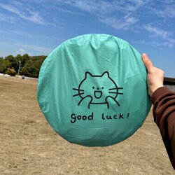 Tent for Outdoor Camping Overnight, Portable Folding Sunshade, Rainproof, Thickened, Automatic One-Touch Opening and Closing