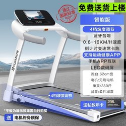 Gym-Specific Silent Multifunctional Large Treadmill for Weight Loss, Indoor Family-Style Walking Machine for Fat Burning