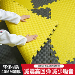 Taekwondo Floor Mat, Sanda Martial Arts Mat, Thickened Non-Slip Training Foam Interlocking Sports Mat, Gym Shock Absorption Mat