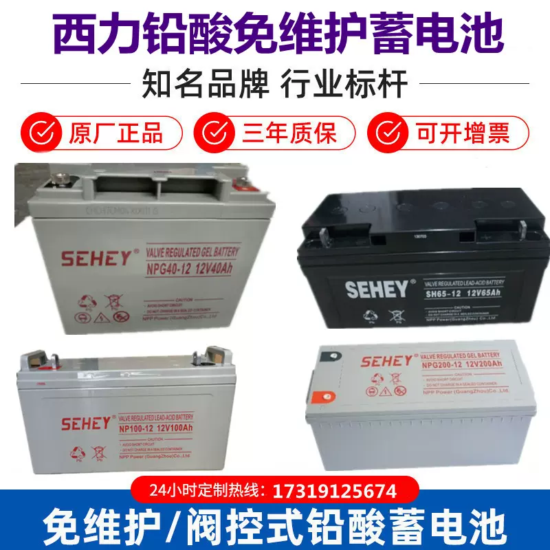 SEHEY西力蓄电池SH/NPG型号12V17A24A38A65A100A120A消防应急设备-Taobao