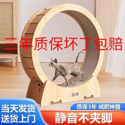 Cat Treadmill Running Wheel Pet Cat and Dog Fitness Weight Loss Silent Solid Wood Exercise Running Wheel Large Cat Climbing Frame Toy