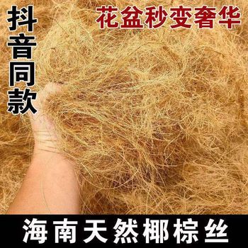 
Imported horticultural coconut silk pavement flower pot decoration pavement green plant coconut palm silk potted flower bonsai pavement grass bird nest nest