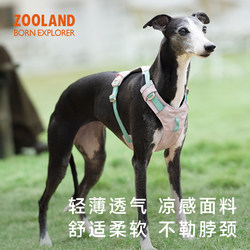 Zooland Dog Harness Leash for Walking Small, Medium, and Large Dogs Like Teddy, Corgi, Bichon, Border Collie, and Pomeranian