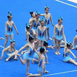 Cheerleading Costumes, Children's Performance Costumes, Cheerleading Dance Competition Costumes, Sports Meet Aerobics Performance Costumes, Jazz Dance