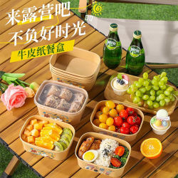 Outdoor Disposable Kraft Paper Box for Spring Outings and Picnics, Square Packing Box for Fruit, Sushi, Salad Bowls, Takeaway Lunch Boxes