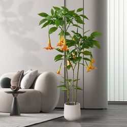 Artificial Green Plant Mandala Luxury Sofa Side Floor-Standing Ornament Large Indoor Living Room Decorative Potted Fake Plant