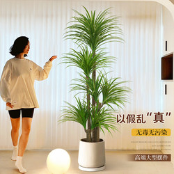 Fake Green Plant Dragon Blood Tree Indoor Floor-Standing Potted Plant Decoration High-End Artificial Green Plant Large Artificial Tree