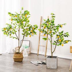 Artificial Green Plant Lemon Tree Potted Plant Nordic ins Trendy Large Indoor Decorative Flower Living Room Ornament Tree Fake Plant