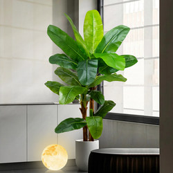 Simulated Green Plant Banana Leaf Tree Indoor Living Room Large Floor-Standing Potted Plant Ornament High-End Bionic Plant Decoration Fake Tree