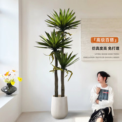 Simulated Green Plant Phalaenopsis Tree Indoor Living Room Decoration Ornaments High-End Bionic Plant Large Floor-Standing Potted Plant