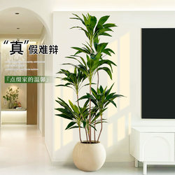 Artificial Green Plant Velvet Indoor Living Room High-End Light Luxury Decoration Simulated Tree High-End Feel Bio-Inspired Plant Ornament Potted Plant