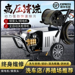 Black Cat Ultra-High Pressure Washer 220V Car Washing Machine Commercial High-Power Farm 380V Industrial Car Washing Device