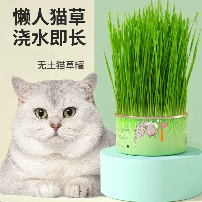 懒人猫草罐头吐毛球化毛促进消化便利栽培猫薄荷