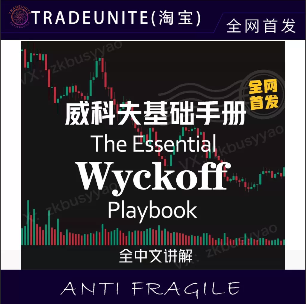 威科夫基础手册中文讲解The Essential Wyckoff Playbook