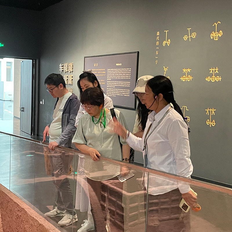 金牌说●安阳殷墟宫殿宗庙遗址讲解2H金牌导游讲解亲子精讲包团