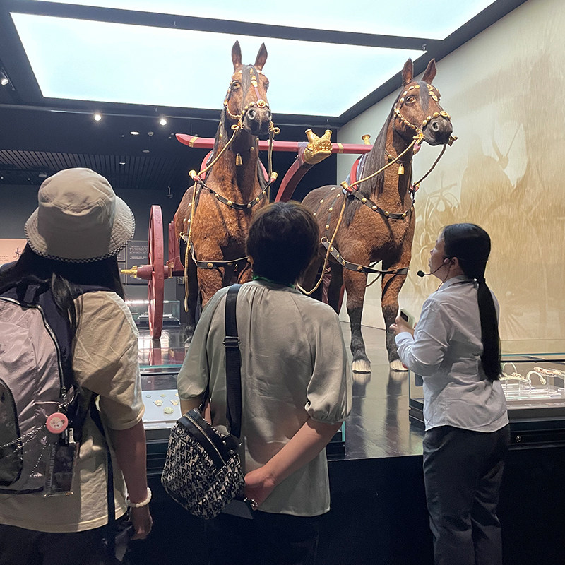 金牌说●殷墟博物馆新馆讲解3H金牌导游讲解含票可选 12人小团