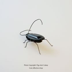 Piggy Won'T Sleep! if You'Re Bored, Give It a Solar-Powered Cockroach Toy! Novel and Creative Small Toy Birthday Gift
