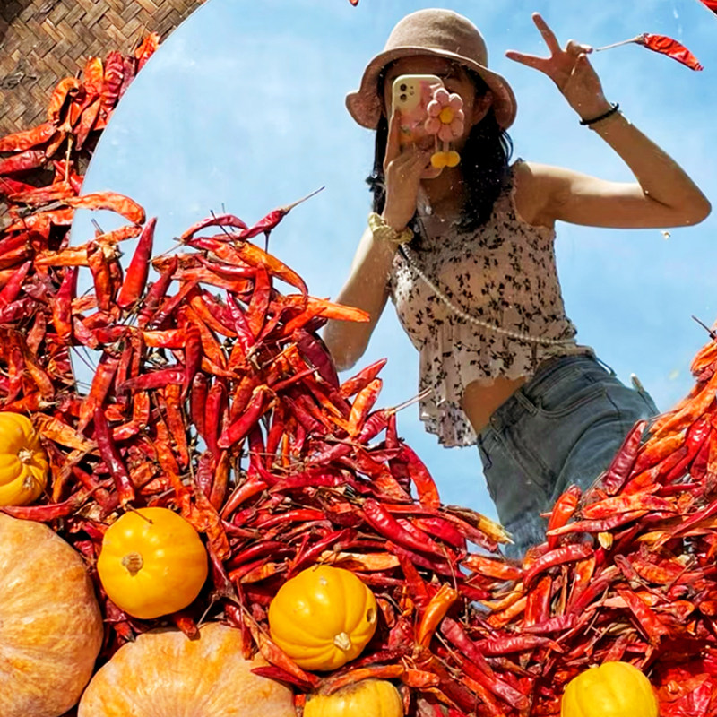 江西旅游婺源旅游篁岭望仙谷婺女洲李坑东线纯玩跟团旅游一日游