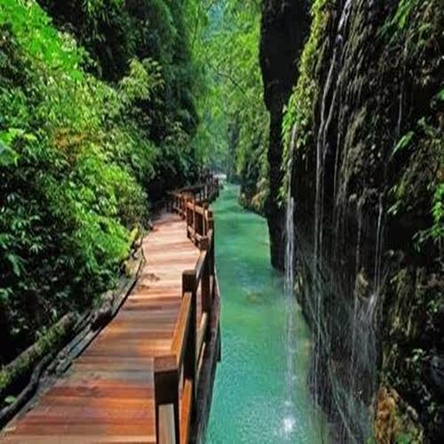 重庆旅游5天4晚武隆仙女山酉阳大足黑山谷李子坝洪崖洞纯玩五日游