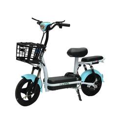 Manufacturer of Cross-Border Two-Wheeled Electric Vehicles for Adults, 48V Battery Bike, Lightweight Commuting Electric Bicycle