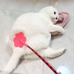 
Cat slap ass toys love beats self-help and relieve boredom artifact teasing cat stick pet big and small dog training device education