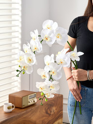 Mori Space Artificial Flowers Desktop Plant Orchid Orchid Sunflower Pear Blossom Orchid Simple Soft Decoration