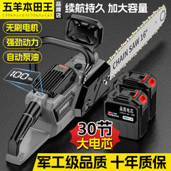 Electric Saw for Home Use, Handheld Small Rechargeable Lithium Battery Electric Saw, High-Power Electric Chain Saw for Outdoor Tree Cutting and Logging