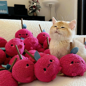 
Cat toys, self-stimulating and boredom-relieving artifacts, doll chewing molar sticks, bite-resistant cat sticks, energy-consuming pet supplies