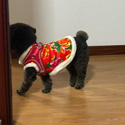 Northeast large flower coat dog clothes autumn and winter warm vest
