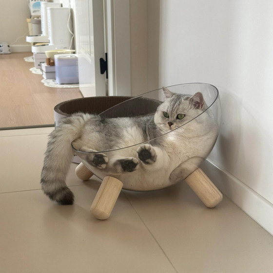 Space Counter -Circle Transparent Quad -Corporal Cat's Pet Pet Package Net Red Cat Sofa Sofa Four Seasons General Pet Products Cat Bed