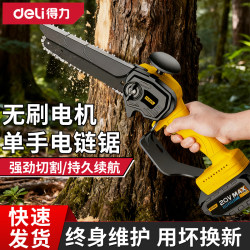 Deli Electric Chainsaw for Home Use, Small Handheld Pruning Rechargeable Tree Cutting Saw, Lithium Electric Chainsaw, Garden Electric Chain Saw