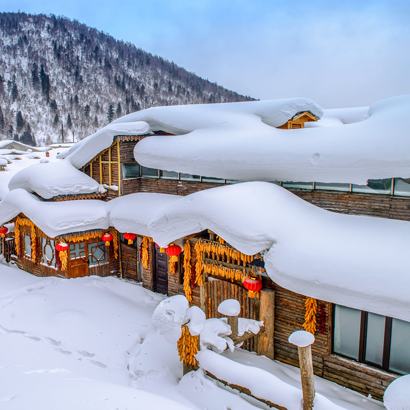 【私家团】东北哈尔滨旅游亚布力雪乡冰雪大世界5天4晚纯玩跟团游
