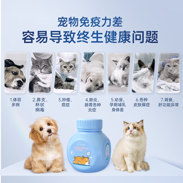 American DLOVE enhanced version of lactoferrin for cats to enhance ...