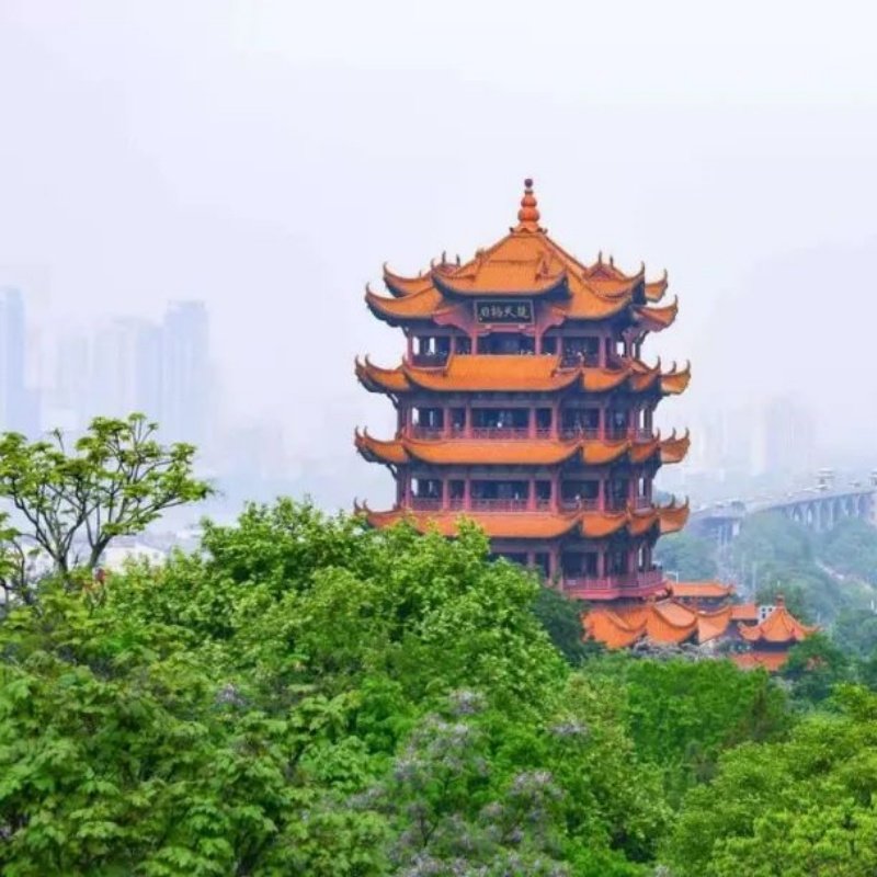 湖北省博物馆/黄鹤楼/东湖/江滩/长江大桥/武大汉大/户部巷一日游