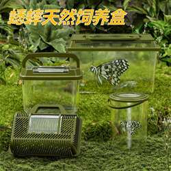 Outdoor Insect Container with Lid, Turtle Tank, Plastic Household Fish Tank, Small and Medium-Sized Portable Household Breeding Box