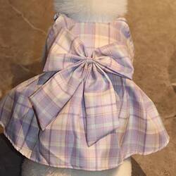 Dog Dress Pet Spring/Autumn/Summer Clothing Shiba Inu French Bulldog Schnauzer Suspender Jk Dress Bichon Frise West Highland Breathable Clothing