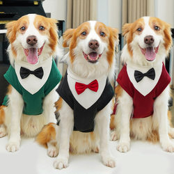 Big Dog Golden Retriever Autumn and Winter New Clothing Corgi Cat Suit Pet Dress Cat Clothes Dog Supplies Wholesale