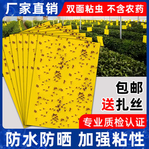 
Almond insect board yellow board double-sided yellow blue board thrips fruit fly trap dipped in flying insects small black flying orchard greenhouse vegetable garden
