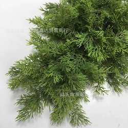 Cross-border Amazon imitation dragon cypress fake
