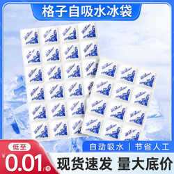 Water-Free Self-Absorbing Ice Packs for Express Delivery, Reusable for Freezing, Disposable for Fresh-Keeping and Refrigeration, Commercial Ice Trays