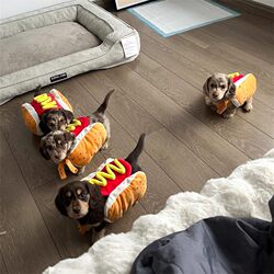 Pet Funny Transformation Costume: Hamburger and Hot Dog Outfits for Cats, Teddy, Schnauzer, Small and Medium-Sized Dogs