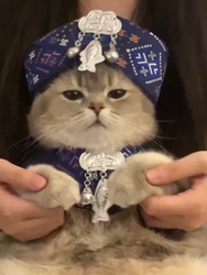 Cat ethnic style clothes, saliva scarf, Zhuang cat clothing, small animal clothing, Miao pet clothing, Zhuang clothing